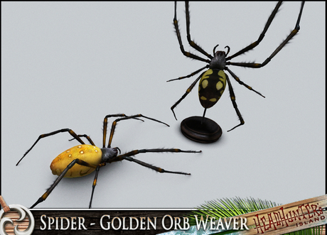 Second Life Marketplace - HeadHunter's Island - Golden Orb Weaver